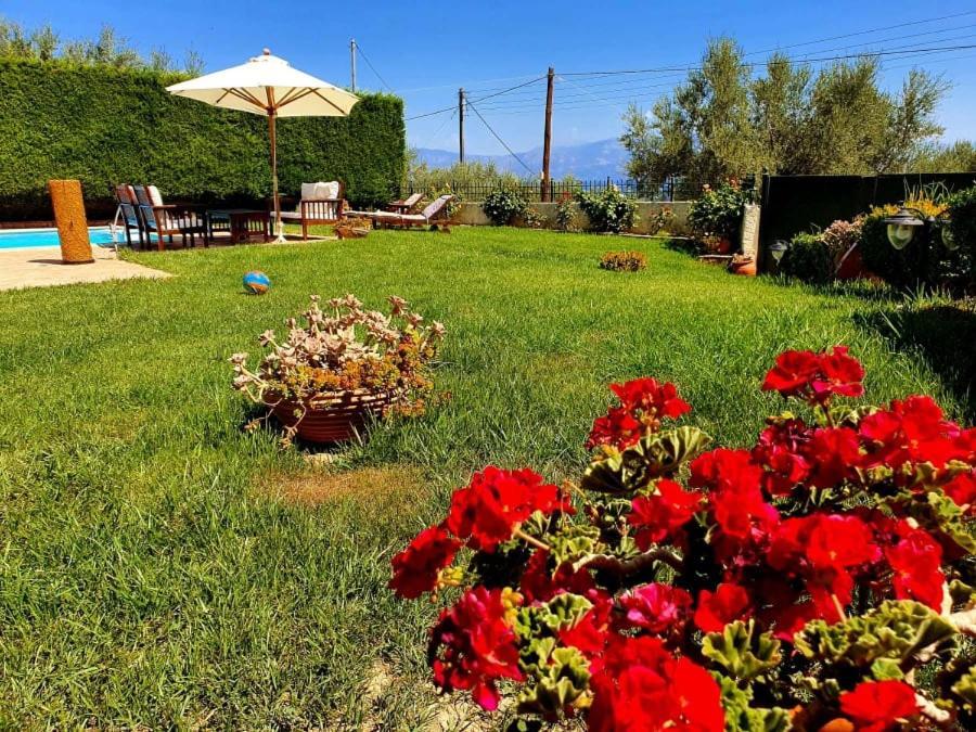 Platanos Estate Villa Akrata Exterior foto